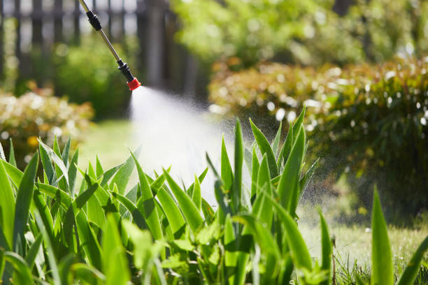 24/7 Emergency Termite Control experts in Penn Valley, CA
