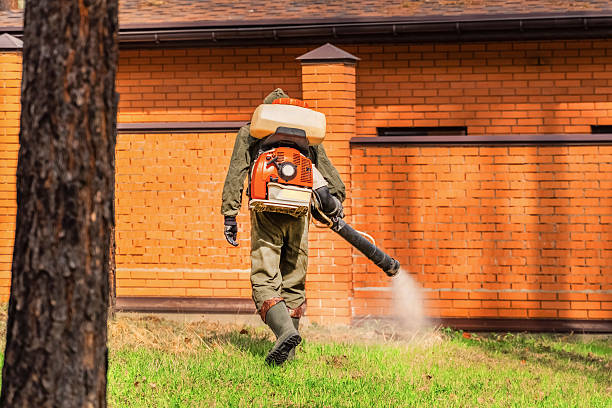 Trusted Rodent Control service in Penn Valley, CA - Nex Pest Control